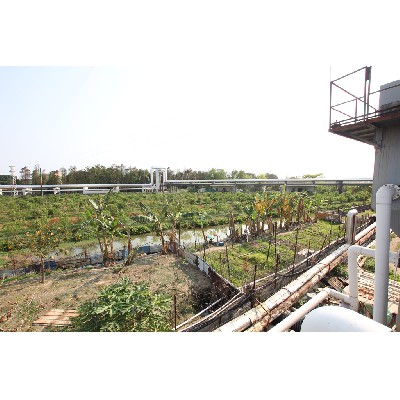 工业区内蒸汽管道 (2)