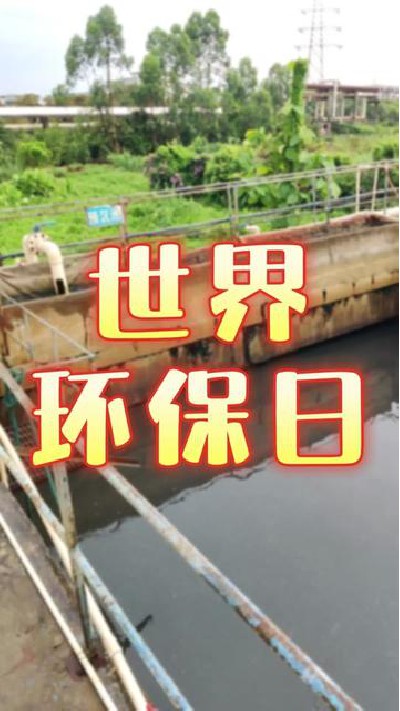 世界环保日，保护环境从我做起！#世...环境日#纺织 #纺织厂家 #旭华纺织-7241499258736643383